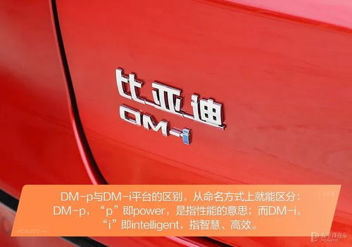 dm怎么起名