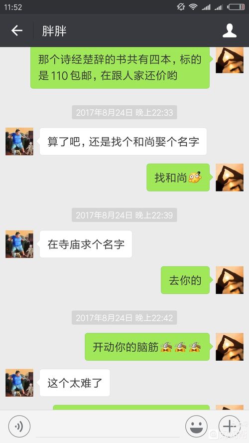 胖胖怎么起名