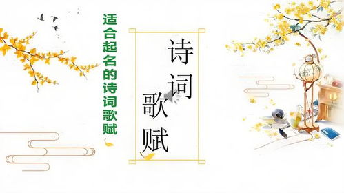 诗词起名直播怎么起名好听