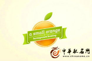 品牌起名雪糕怎么起名的