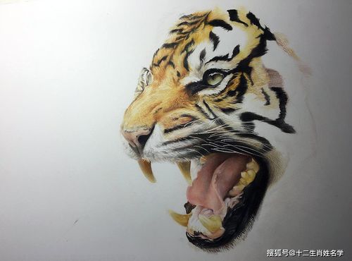 虎宝宝起名宇航怎么起名