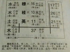 男孩用张起名怎么起名