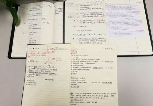 起名是人干的事怎么起名