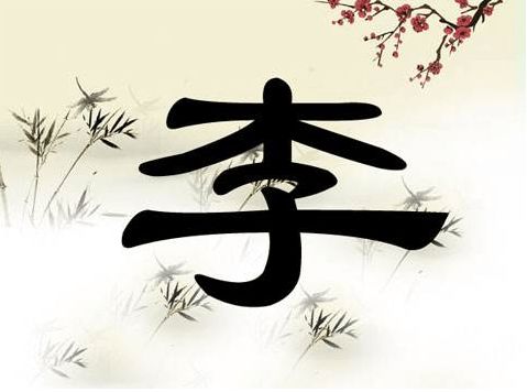 起名居士李姓怎么起名