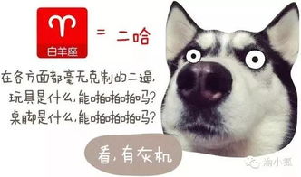 狗狗星座起名法怎么起名
