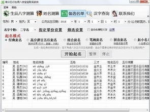 应用分类起名怎么起名的