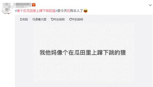 培根美团起名怎么起名