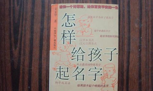 给孙子起名小品怎么起名