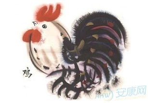 虎妞起名姓张怎么起名