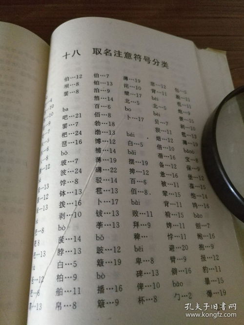 甘肃井姓起名怎么起名