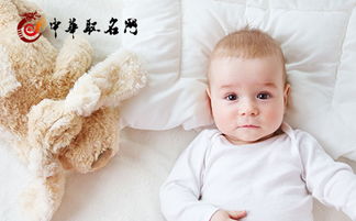 给小猪起名怎么起名好听