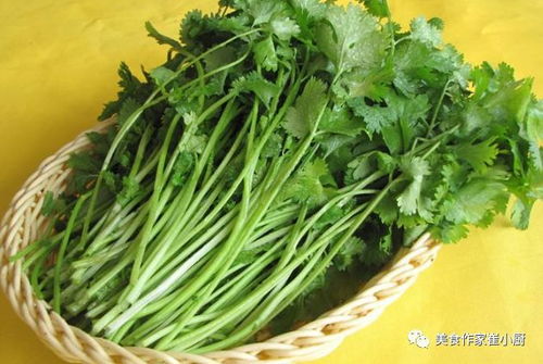 香菜品种起名怎么起名