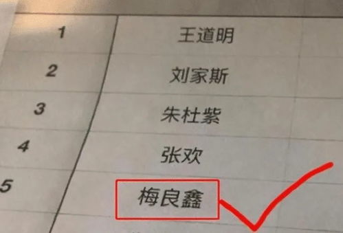 记忆装置起名怎么起名的