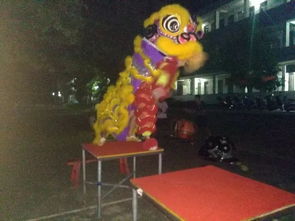 醒狮要起名吗怎么起名
