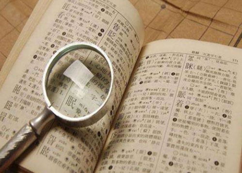 红楼起名大人怎么起名的