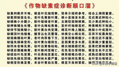 潮汕起名缺土怎么起名