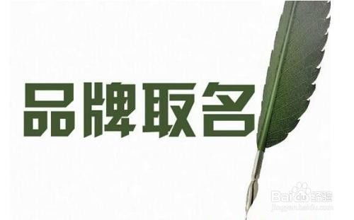 桉树品牌起名怎么起名好