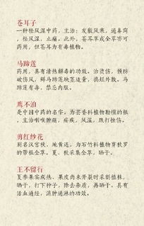名宿中药起名怎么起名好