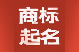 起名公司商标起名怎么起