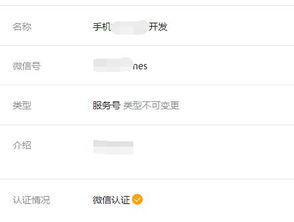 服务公众号起名怎么起名