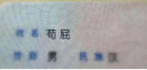 孩子起名鬼才怎么起名的