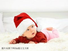 兔宝宝蒙族起名怎么起名