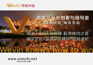 做推广公司起名怎么起名