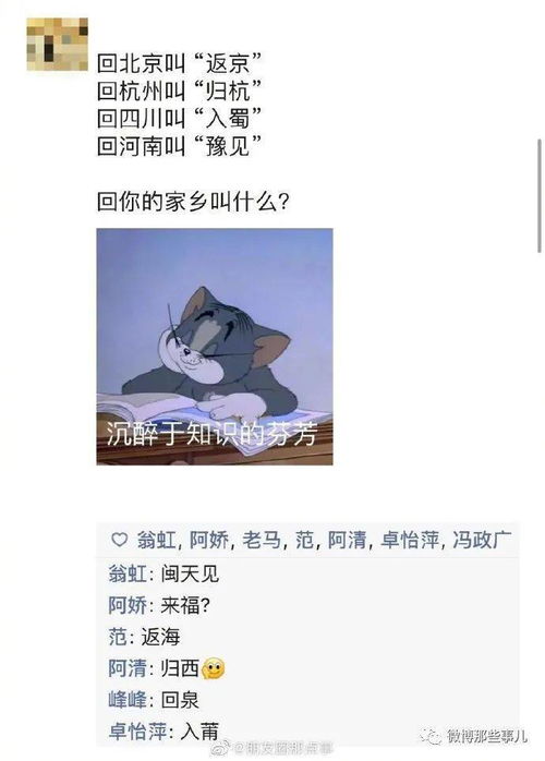 大爷起名谐音梗怎么起名