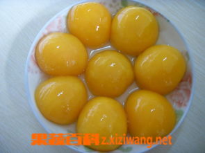 果蔬罐头起名怎么起名