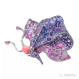 饰品起名蝴蝶怎么起名