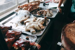 乳猪店起名怎么起名