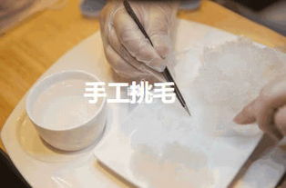 手工燕窝起名怎么起名