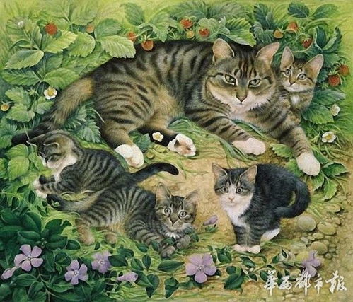 白猫古代起名怎么起名