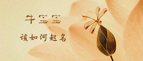 兔年起名思路怎么起名