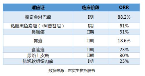 项目代号起名怎么起名