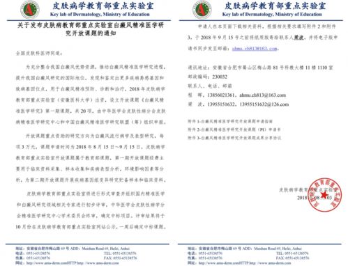 项目起名日本怎么起名
