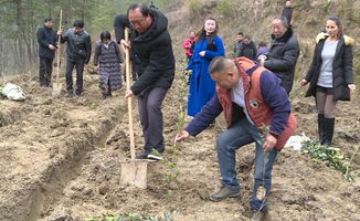 油茶基地起名怎么起名
