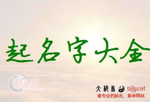 生态企业起名怎么起名