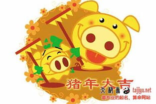 给小猪起名怎么起名
