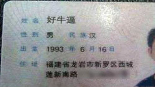 母猫起名姓刘怎么起名 母猫起名姓刘怎么起名