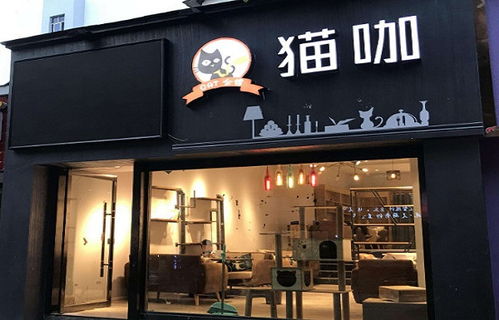 起名咖啡馆起名怎么起名