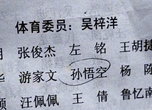 想起名怎么起名