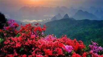 杜鹃山起名字怎么样