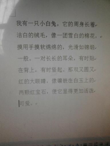 作文小兔子怎么起名字的
