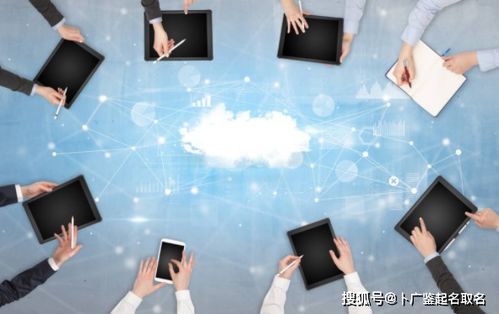企业管理起名字怎么起