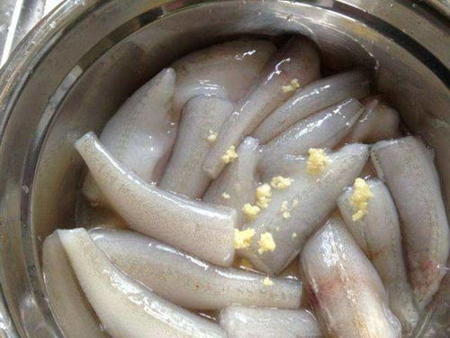 澳龙两吃怎么起名字好听