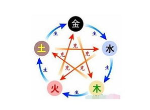 五行金旺木无根怎么起名