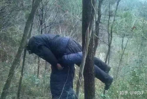 两个老人怎么起名字好听