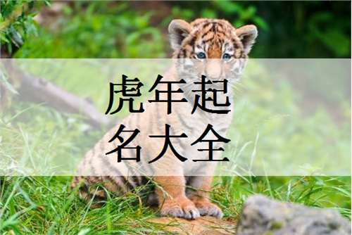 毕姓男孩起名属虎怎么样
