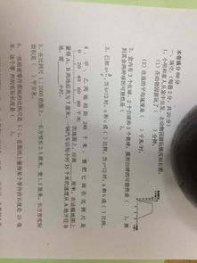 姓包的家宅怎么起名字